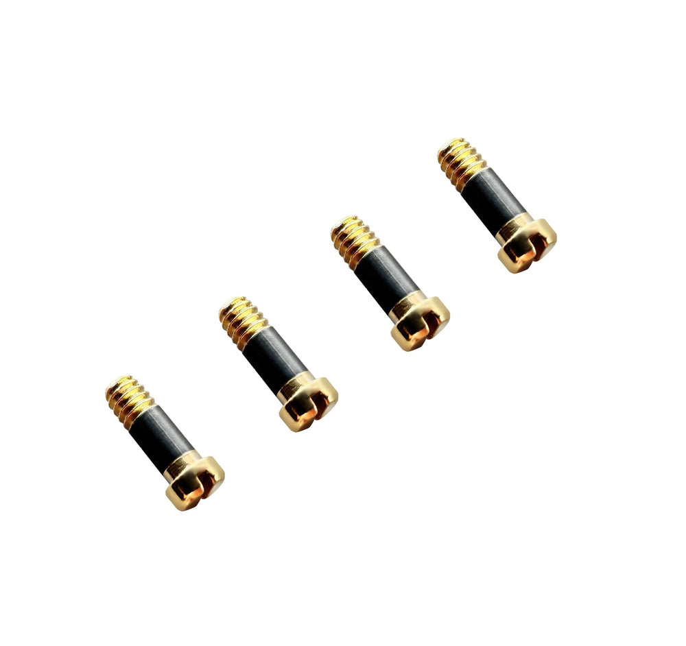 Lenses ring and back-side screws in golden finish for Ray-Ban models (4 pcs)