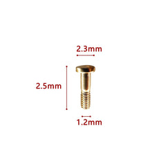 Close-up of gold temple hinge screw for Ray Ban RB3379 sunglasses
