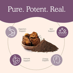 No fillers or mycelium label on Real Mushrooms Chaga capsules