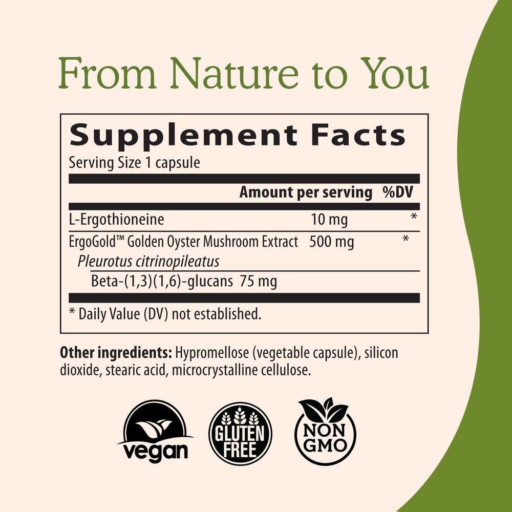 Organic golden oyster mushrooms used in Real Mushrooms Ergothioneine