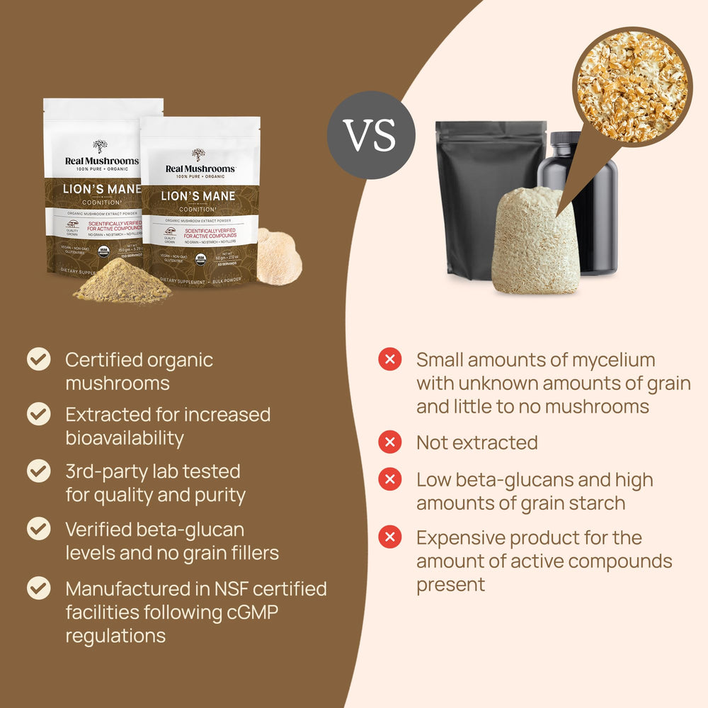 Real Mushrooms Lion's Mane powder stirred into tea for versatile ongoing routines.