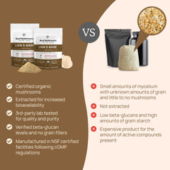Real Mushrooms Lion's Mane powder stirred into tea for versatile ongoing routines.