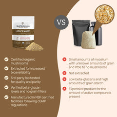 Real Mushrooms Lions Mane vegan gluten-free supplement for clean routines.