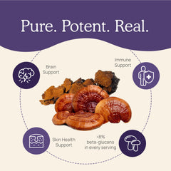 Illustration of organic Reishi and Chaga mushroom extracts.