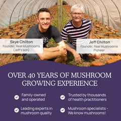 Product packaging with 120 count Real Mushrooms Zinc and Vitamin D2 Capsules.