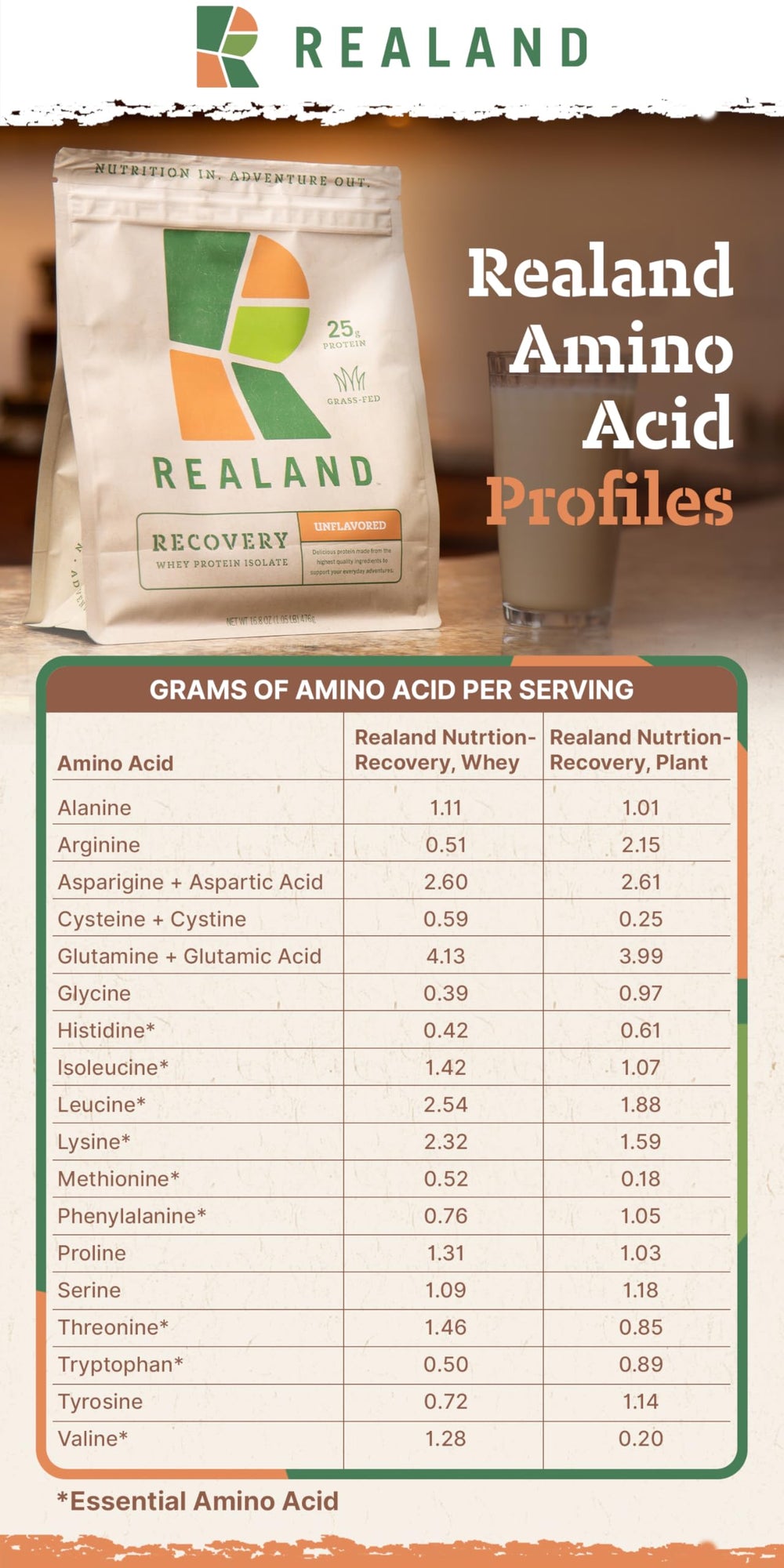 Realand Chocolate Plant Protein with snack ideas illustration