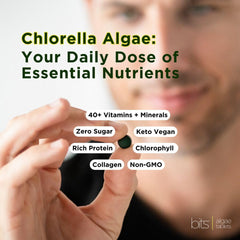 Green chlorella tablets arranged on a white background