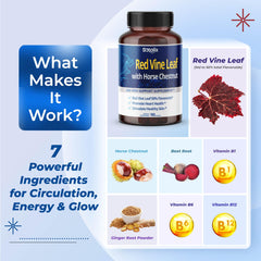 Ingredients infographic showing 50% flavonoids in Red Vine Leaf and Horse Chestnut