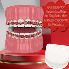 Brace kit used as teaching aid / practice prop for dental students