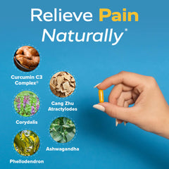 Curcumin T4 capsules close-up