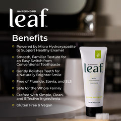 Citrus and rosemary illustration representing Citrus Rosemary scent