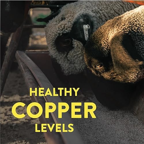 Full spectrum sea minerals from Utah deposit