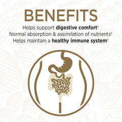 Probiotic capsules supporting regularity and bowel health
