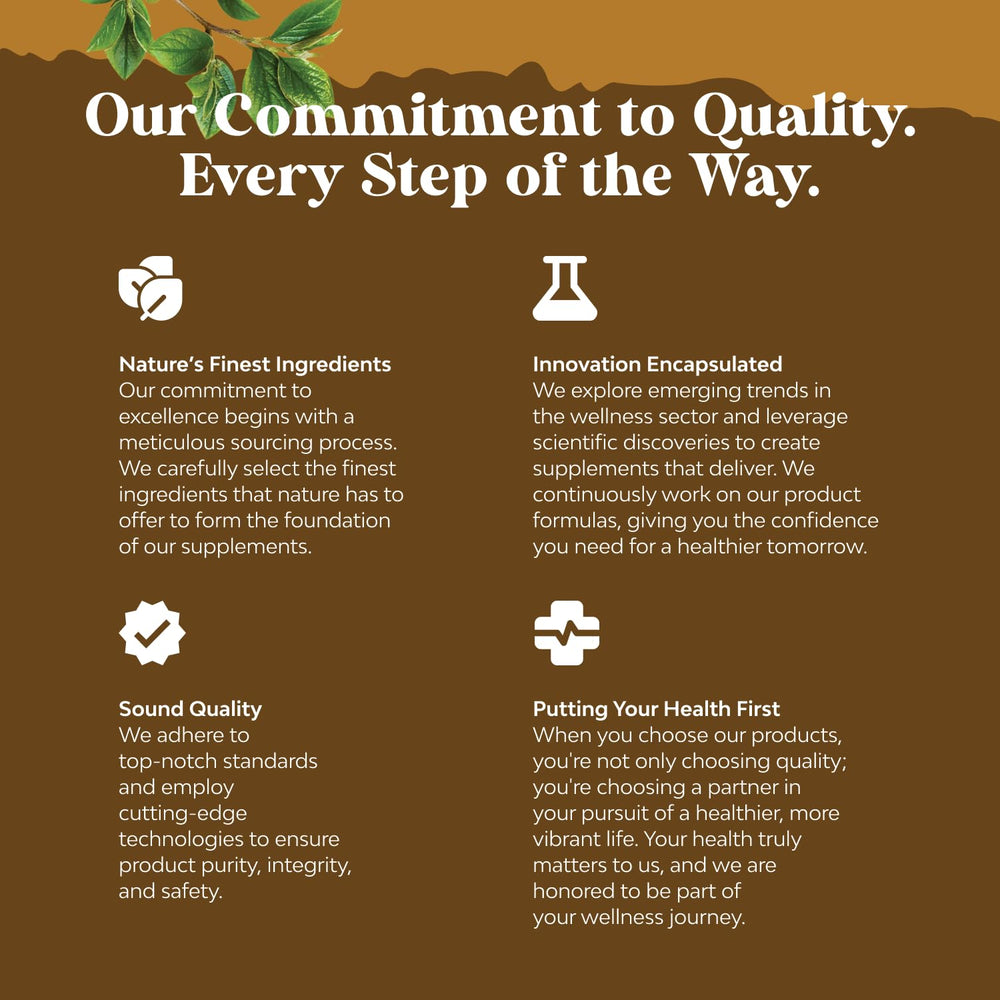 Assorted medicinal mushrooms including Reishi, Chaga, Maitake and Shiitake