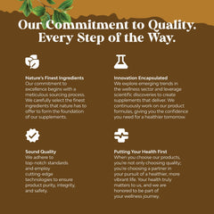 Assorted medicinal mushrooms including Reishi, Chaga, Maitake and Shiitake