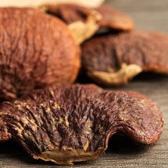 Close-up of Reishi mushroom powder texture