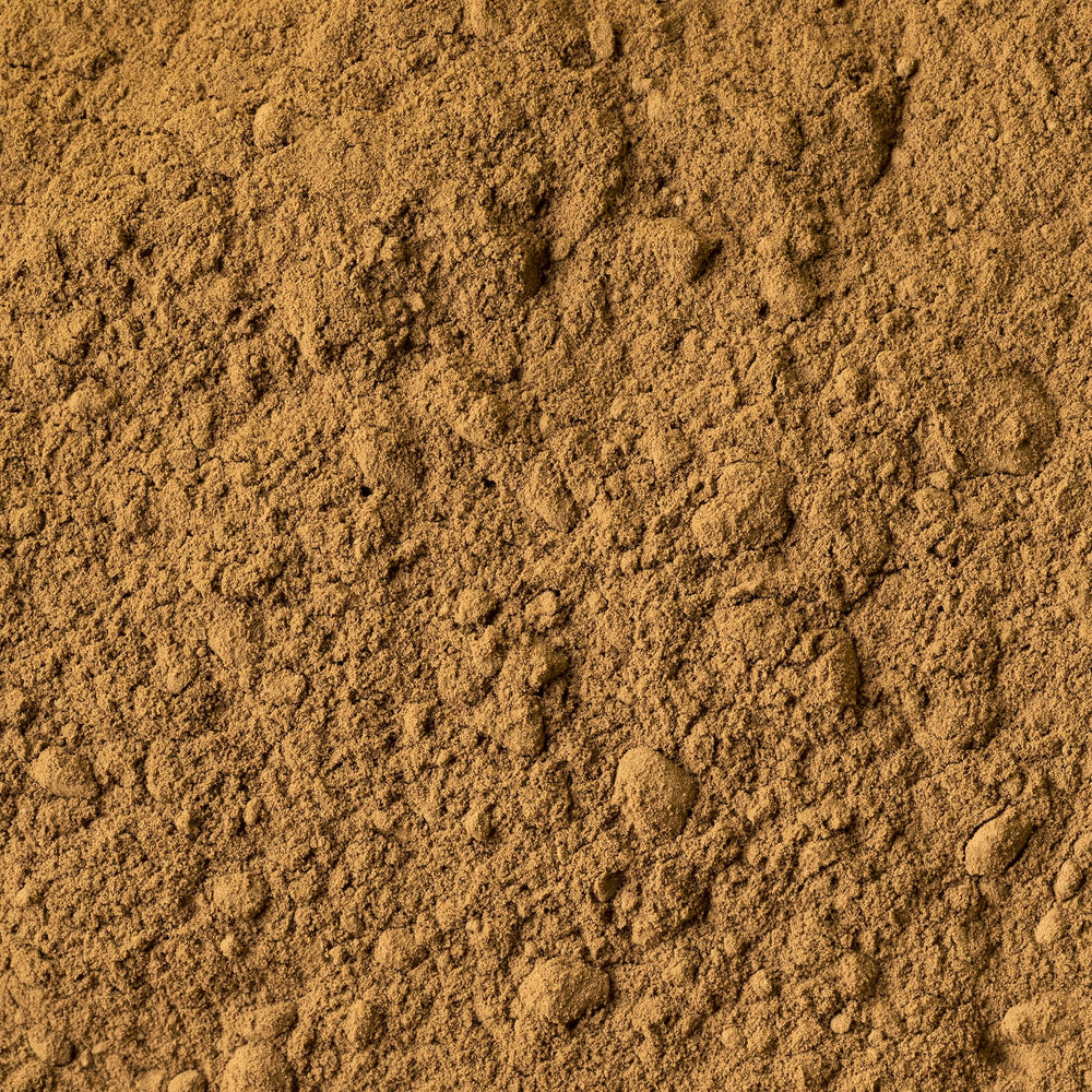 Reishi mushroom powder packaged in Utah, USA