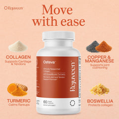 Diagram of tendons and ligaments supported by Osteva