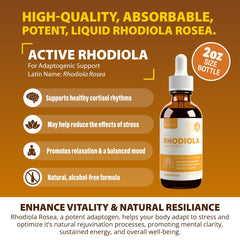 Rejuvica Health Active Rhodiola liquid pour shows alcohol-free, gentle extraction.