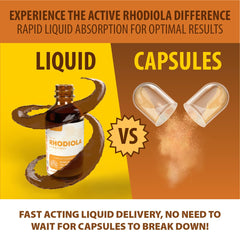 Rejuvica Health Active Rhodiola liquid suggests fast absorption and smooth taste.