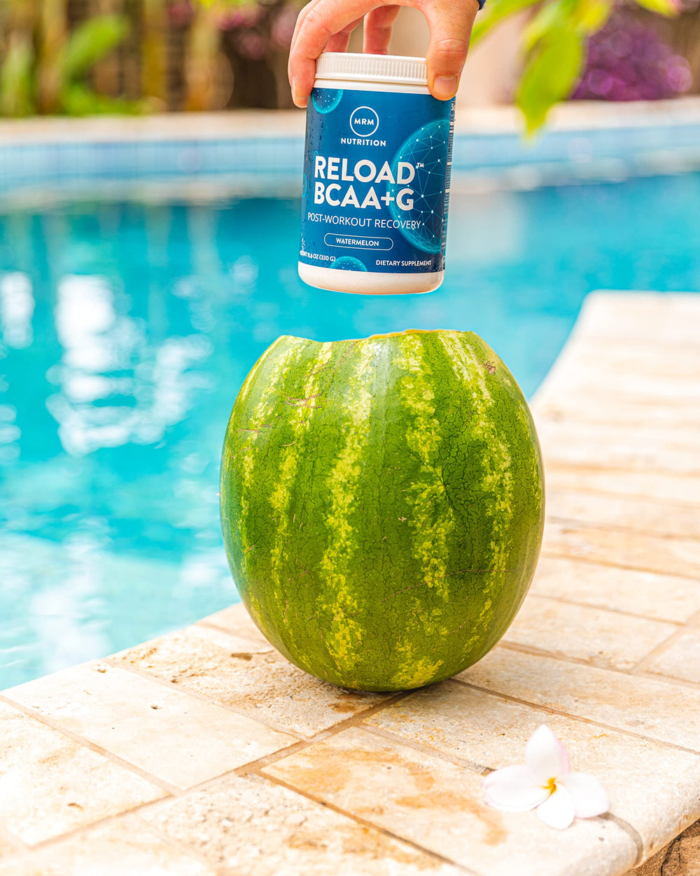 Certifications: Gluten-Free, Vegan, Keto and Low Carb friendly badge