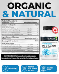 Illustration of daily digestive wellness with Renew Actives