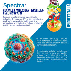 12 registered probiotic strains with prebiotics