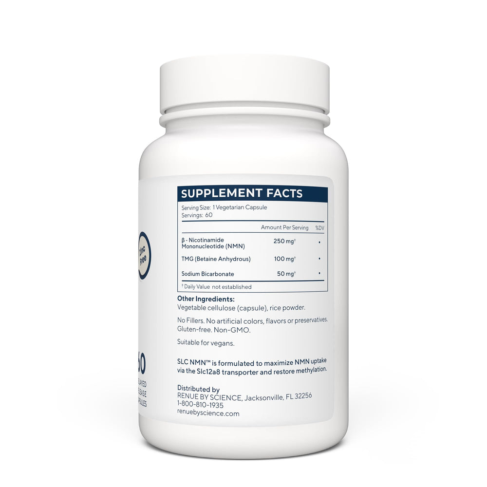 Illustration of NMN absorption and Slc12a8 transporter