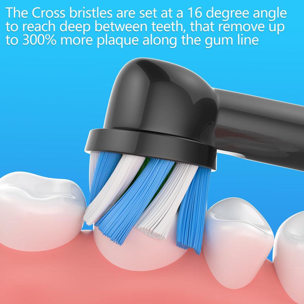 Soft DuPont Tynex bristles for gentle tooth and gum care