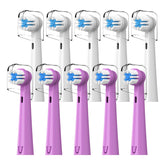 Brusheez Kids replacement brush heads in white and purple (10 count)