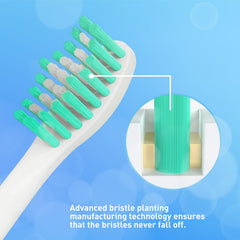 W-shaped bristles with end-rounded design for thorough cleaning