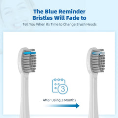 Blue indicator bristles fading to white signal replacement