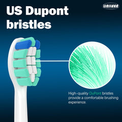 Blue wear indicator on Sonicare replacement head