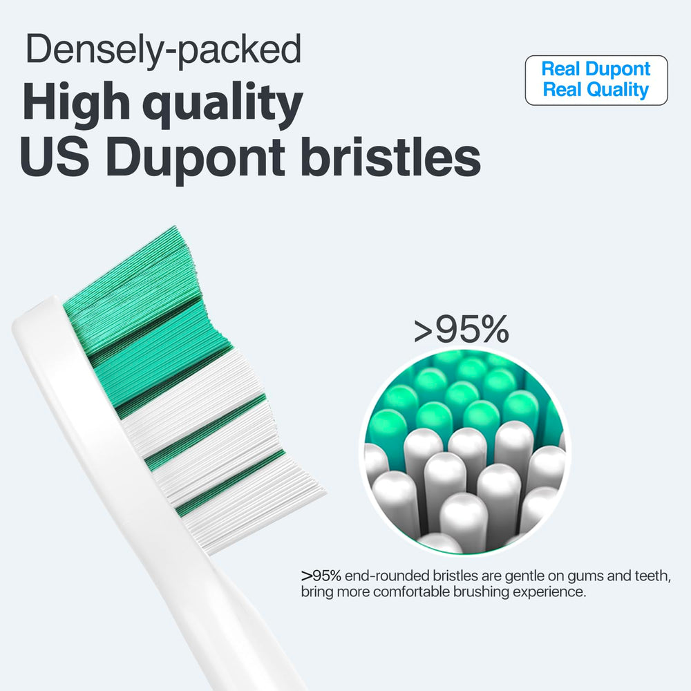 Compatibility with various Philips Sonicare handles