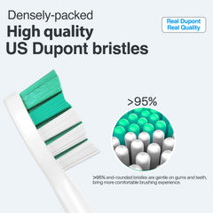 Compatibility with various Philips Sonicare handles