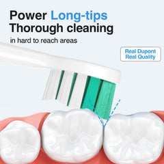 Blue indicator bristles fade to signal replacement