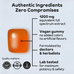 Close-up of a single blueberry-flavored gummy