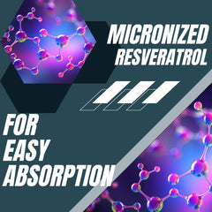 Research Labs Resveratrol bottle in a GMP-certified facility