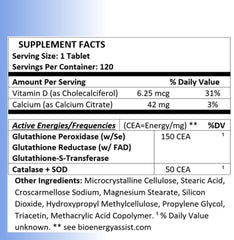 Illustration of enzymatic support for Catalase and SOD