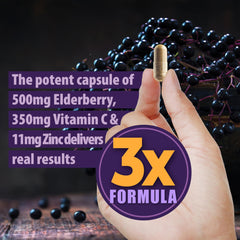 Illustration of respiratory health benefits from elderberry supplement