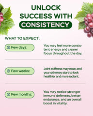 Quality assurance in GMP-certified USA facility