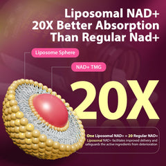 Resveratrol, Pterostilbene and Quercetin anti-aging blend image