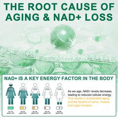 Resveratrol and quercetin anti-aging blend