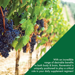 Gluten-free label for ResVida Resveratrol
