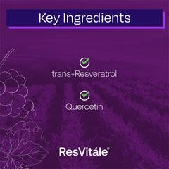 120 veggie capsules displayed in bottle