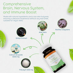 Illustration of improved gut barrier and digestive health