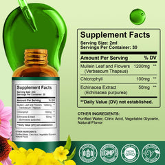 Immunity support image for ReviNutra Mullein Drops (Echinacea ingredient)