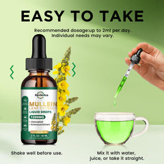 Box and bottle packaging of ReviNutra Mullein Drops