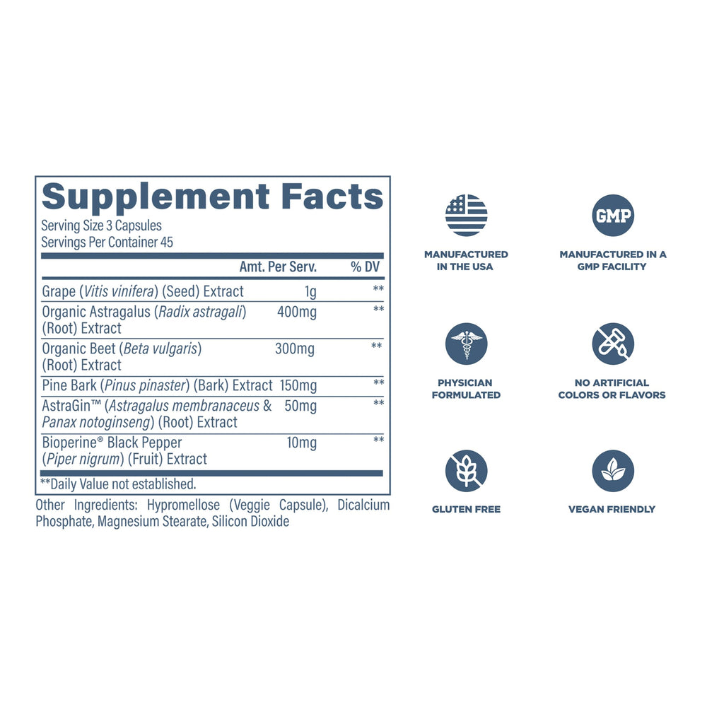 Grape seed illustrating kidney support ingredients in Revive MD Kidney Support
