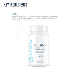 Graphic illustrating immune support from zinc